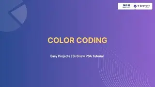 Color Coding - Birdview & Easy Projects Tutorial