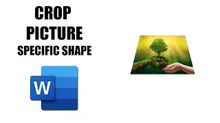 How to crop a picture to a specific shape in Word doc