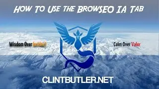 BrowSEO Tutorials - How To Use the BrowSEO IA Tab