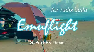 🌴Local beach | FPV Drone Freestyle | GoPro | Emuflight 0.3.1 with radix fc | Bluejay ESC