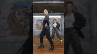 태양 리정 VIBE 챌린지