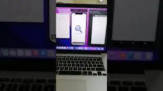 React Native Developer-Developer life-software engineer life