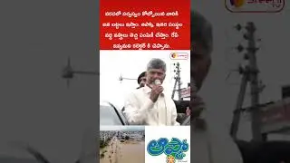 Nara Chandra Babu Naidu #appolitics #vijayawadafloods #sreenimedia