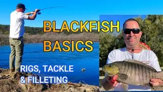 Blackfish Basics. Rigs, Tackle & Filleting
