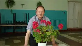 Василий и родня    2