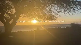 The Fire (08/08/23)