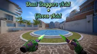 Dual Daggers Acid + Gloves Acid