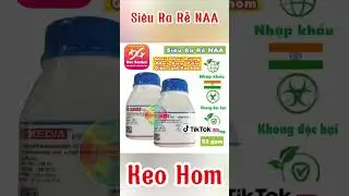 Siêu kích rễ NAA chuyên dùng keo hom