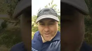 Грибочки, третий день