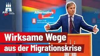 Wirksame Wege aus der Migrationskrise - Dr. Bernd Baumann AfD