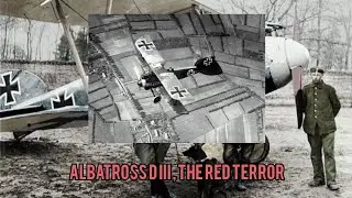 Albatross D III 1917 - Small History them