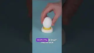 Обзор полезного кухонного прибора