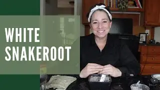 Do you want to know more about the poisonous native plant, White Snakeroot?