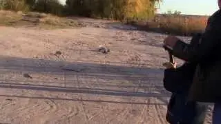 rc cars Николаев