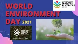 WORLD ENVIRONMENT DAY 2021 THEME AND LESSON. What was the theme of 1st W.E.D. ?