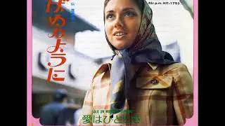ジリオラ・チンクェッティGigliola Cinquetti／つばめのように Volano le rondini 　（1970年）