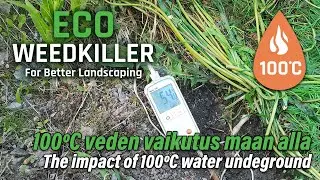 Kasvin juurien tuhoaminen 100ºC vedellä | Destroying plant roots with 100ºC water | Eco Weedkiller
