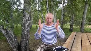 НА ЧТО НУЖНЫ ИНВЕСТИЦИИ.  ЦИФРОВАЯ ВАЛЮТА НАПОЛНЕННАЯ РЕАЛЬНЫМИ АКТИВАМИ  БИО-ФЕРМЫ МАНГАЛИЦА