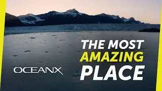 A Love Letter to Svalbard