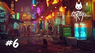 STRAY I BİR KEDİDEN DAHA FAZLASI I TÜRKÇE BÖLÜM 6