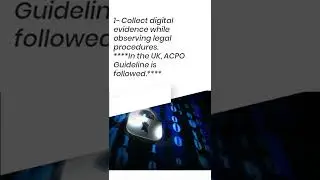 2024 & Beyond: Digital Forensics Investigator Job Responsibilities #cybersecurity #digitalforensics