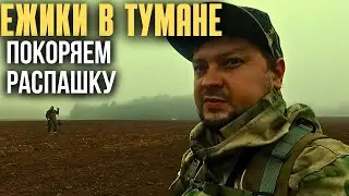 ЭТА РАСПАШКА ЗАСТАВИЛА НАС ПОБЕГАТЬ! Коп монет с XP ORX