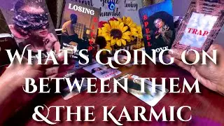 ✨This Karmic Is Crazy &Dangerous. This Person Fell For A Trap, Now They’re Life Is A Living H*ll✨