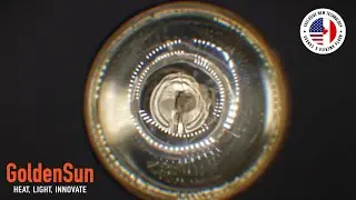 NEW Reptile Heat Lamps! Golden Sun, For The USA