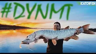 New Era mit DYNMT - Hechtangeln - Wir testen neue Köder! #iCatchFish #Majestic #TheOne #TheOnly #PB