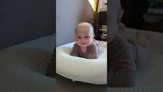 Льова піднімає голову, пускає бульбашки і каже баба 🦁