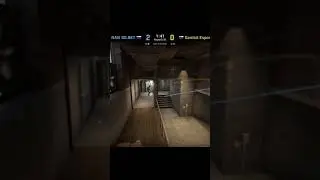 NAVI electronic Train Halls Flash (CS:GO Tricks)