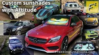 Coolest custom Eyes for your car - Artistic Reflection car sun shade review + discount code!