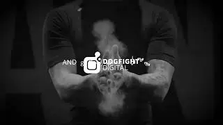 Dogfight Digital (english)