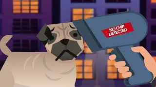 Video for Chip Monitoring Company