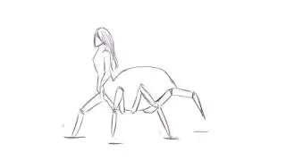 Spiderwalk