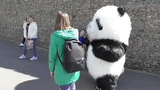 Ангарску - 70 лет! Гуляния в день города на набережной.