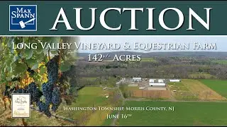 Long Valley Equestrian Vinyard Auction