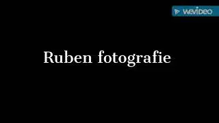 fotografie van de heide