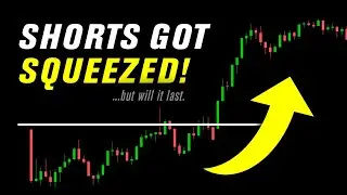Rug Pull Incoming?! This Can't Last... | SPY QQQ IWM +
