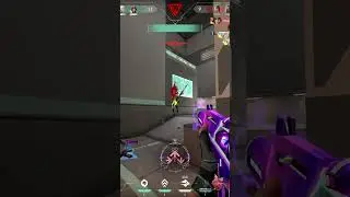 What Immortal Aim Looks Like 
