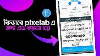 How to Download And Install Fonts In PixelLab | Pixellab এ কাস্টম ফ্রন্ট ইন্সটল করা শিখুন খুব সহজে।