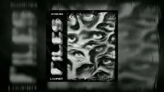 [FREE] Supertrap x Mimofr Loop Kit 