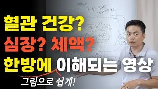 혈관 건강? 심장? 체액? 한방에 그림으로 쉽게 설명해드릴게요