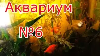 Мой аквариум №6, аквариум ребенка