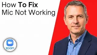 How To Fix Microphone Not Working In Zoom on Windows