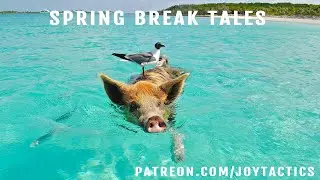 Spring Break Tales | Joy Tactics Podcast | Ep. 59