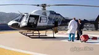 Organ Transplant Surgeon