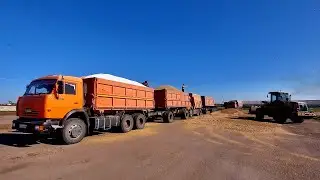 Kamaz savko. Stuck in the field, minor repairs. Harvest 2023!