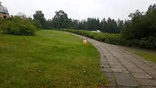 ARDF 2020 - Lithuanian Championships - Day I - Live