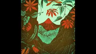 Lorde - Hua Pirau / Fallen Fruit (Lyric Video)